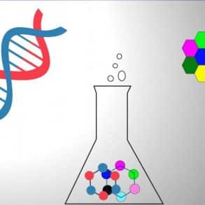 molecular-science