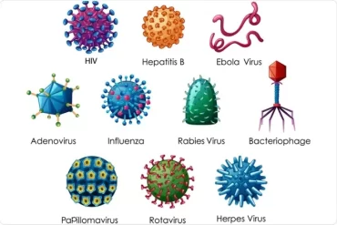 immunology-and-microbiology