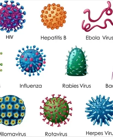 immunology-and-microbiology