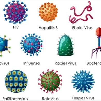 immunology-and-microbiology